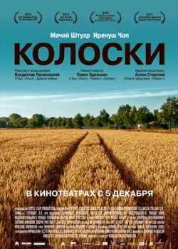 Колоски (2013)