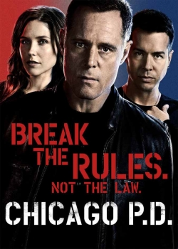 Полиция Чикаго (2 сезон)