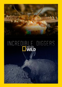 Удивительные копатели (2015) 