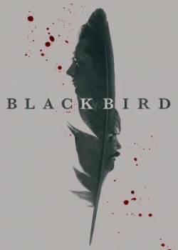 Чёрная птица (1 сезон)