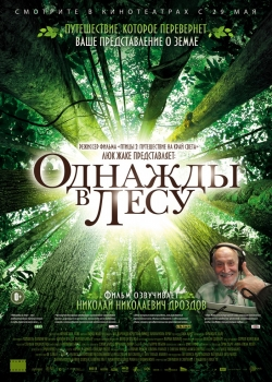 Однажды в лесу (2014)