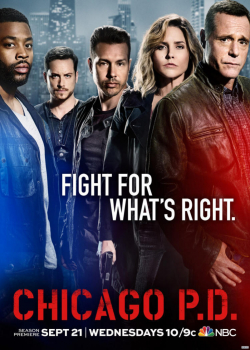Полиция Чикаго (6 сезон)