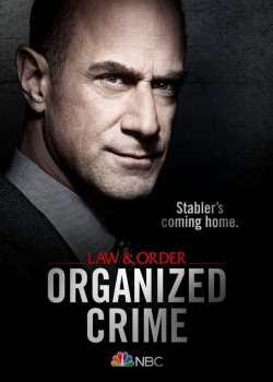 Закон и порядок: организованная преступность (3 сезон 19 серия)