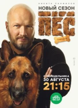 Пёс сериал (2015)