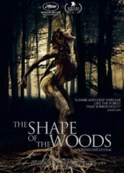 Форма леса (2021)