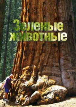 Зелёные животные (2015) 