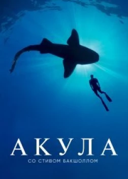Акула со Стивом Бакшоллом (2021) 
