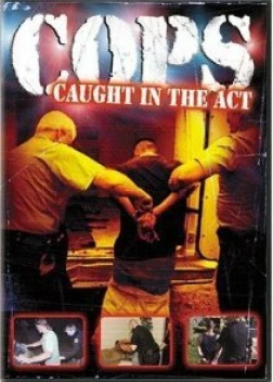 Полицейские 1-35 сезон (1989)