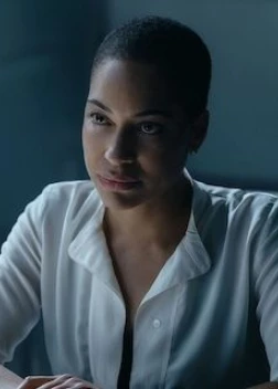 Криминальное досье сериал (2024) 