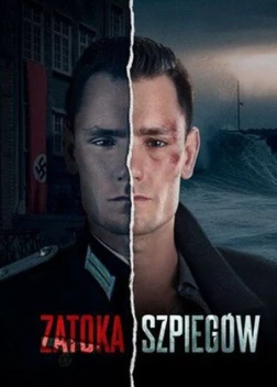 Шпионский залив сериал (2024) 