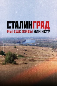Сталинград. Мы еще живы или нет? (2018) 