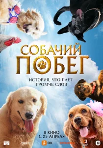 Собачий побег (2023) 