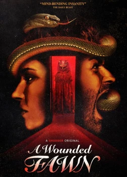 Раненый оленёнок (2022)