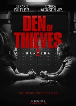 Охота на воров 2: Пантера (2025) 