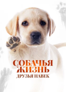 Собачья жизнь: Друзья навек (2023) 
