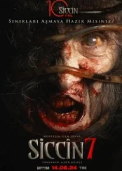 Сиджин 7 (2024) 