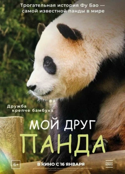 Мой друг панда (2024) 