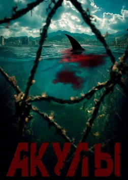 Акулы (2025)