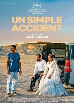 Простая случайность (2025)