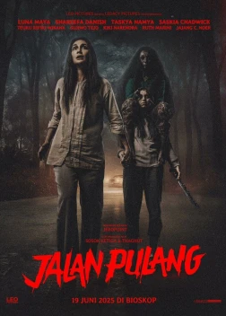 Дорога домой (2025)