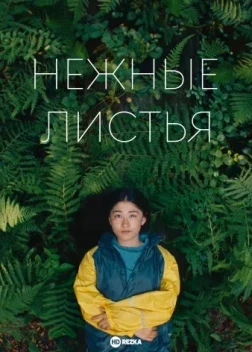 Нежные листья (2025)