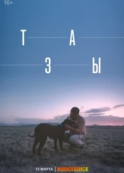 Тазы (2025)