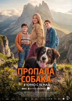 Пропала собака (2025)